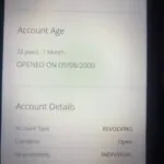 Client new credit file result #2