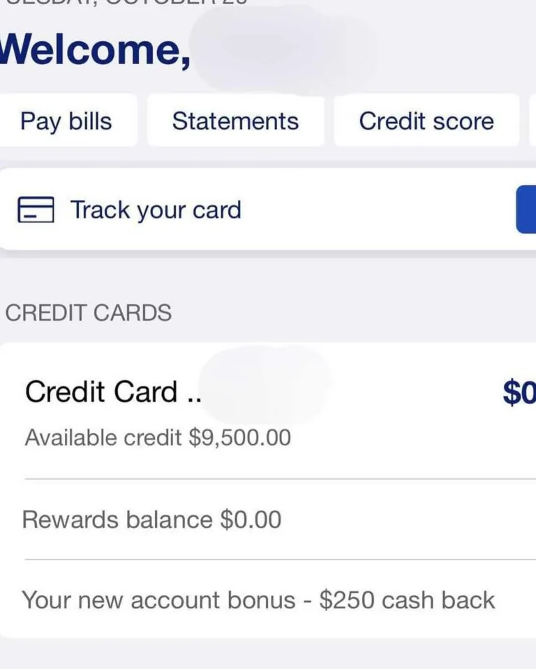 Credit repair services, Tradelines, CPN and credit boost, Business credit assistance, SBA grants and loans, Hard inquiry removal, Charge-off and collections removal, ID verification services, Student loan relief, Rent relief programs, Care Credit application, Boost credit score, Credit sweeps for collections, Apartment and car approval, Financial and credit support